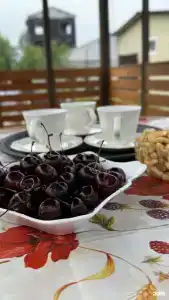 Домашний Очаг - 24