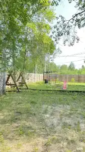 Зелёный бор - 50