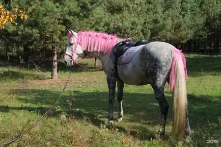 Домики в лесу - 15