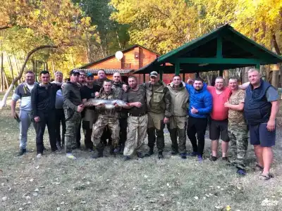 Лебедь - 17