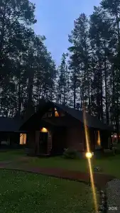 Шелест - 58