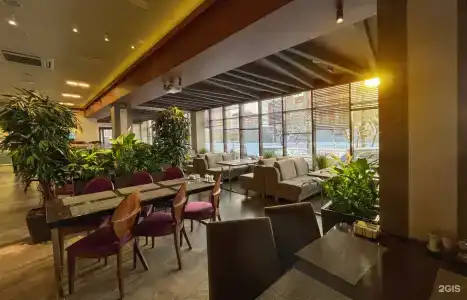 Alpha Business-Hotel - 9