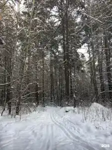 Снежок - 14