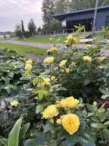 Хутор Барышево - 31