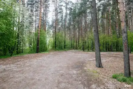 Буревестник - 41
