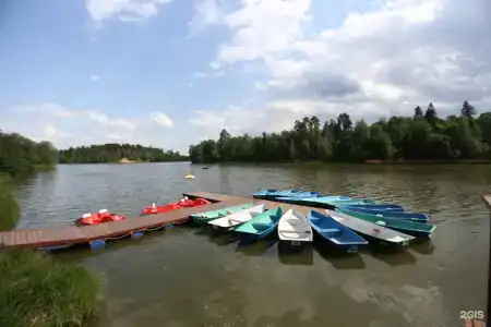 Усадьба Гребнево - 4