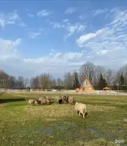 В тишине - 55