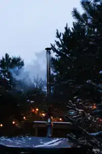 Лес - 98