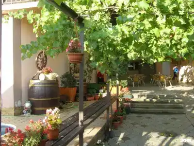 Барракуда - 8