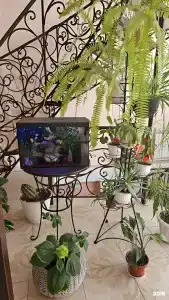 Посейдон - 2
