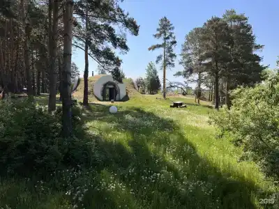 Гнездо - 53