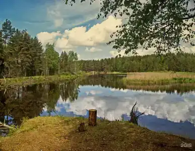 Павловская Усадьба - 2