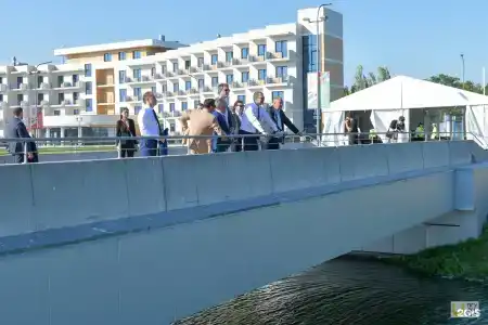 Регата - 61