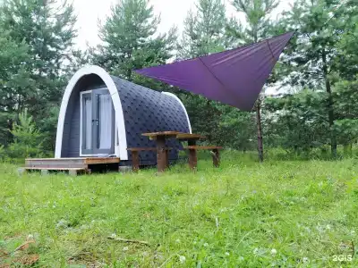 Грибная Находка - 3