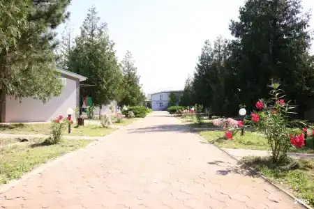 Империя - 56