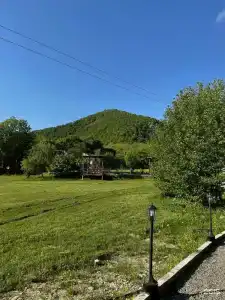 Дубрава - 16