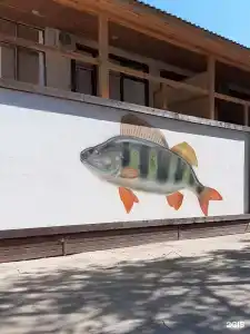 Fish Sense - 118