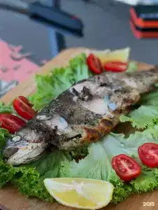Пансионат Энергетик - 12
