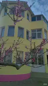 Розовый сад - 11