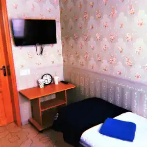 Киви и Цитрус - 39