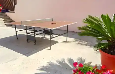 У Гульнары - 13