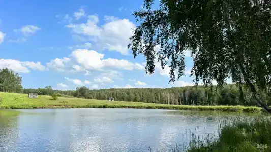 Лес & Озеро - 4