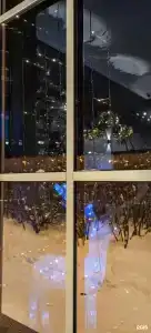 Ласточкино гнездо - 70