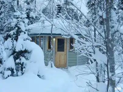 Хвойный - 2