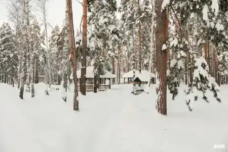Комета - 36