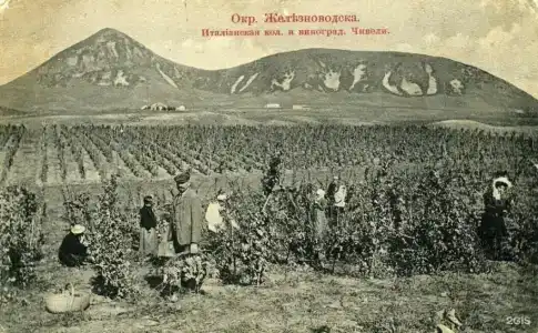 Глэмпинг The Garden - 96