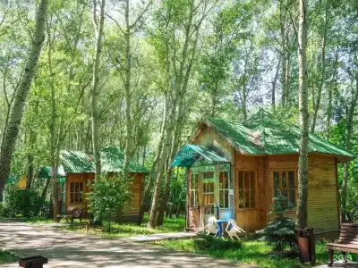 Сокол - 0