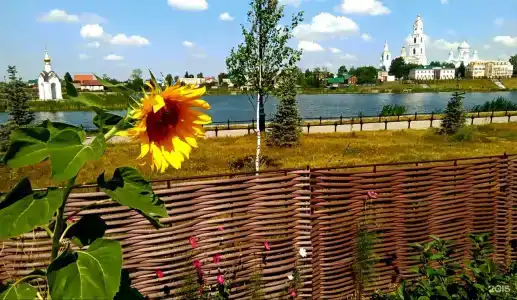 Дивный дворик - 19