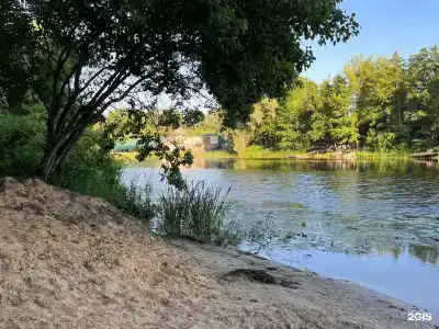 Солнечная поляна - 22