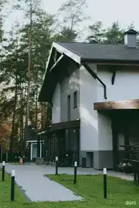 Клевер - 15