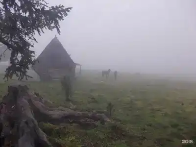 Амаду - 132