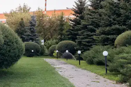 Для Вас - 46