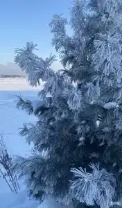 Заимка Рыбная - 26