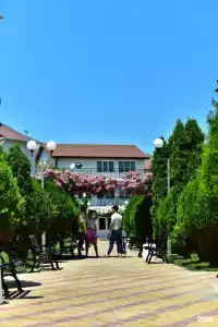 Фея 2 - 20
