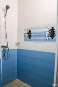 Сириус - 4