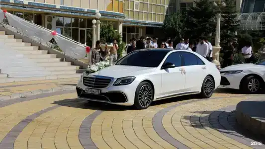 Журавли - 20