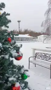 Белый берег - 29