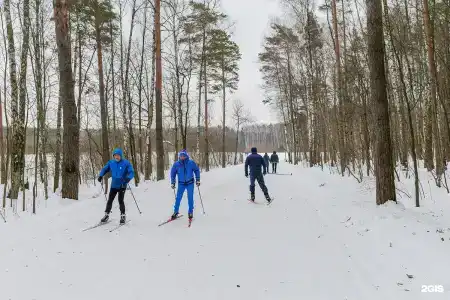 Переделкино - 38