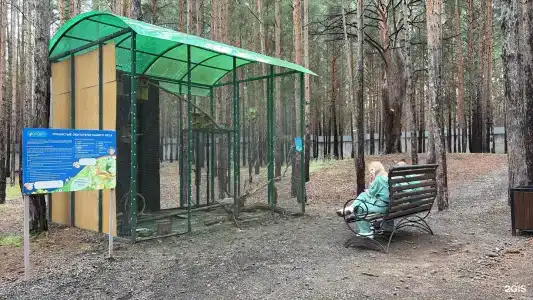 Радуга - 140