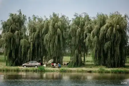 Шесть Озёр - 116