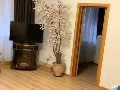 Визит - 40