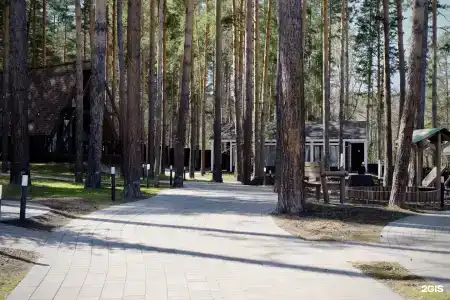 Клевер - 69