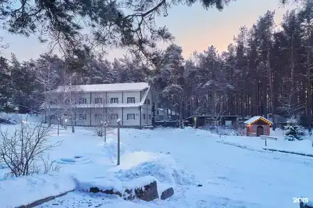 Окуневая - 100