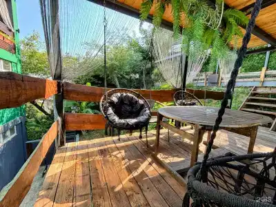 Sunny day - 102