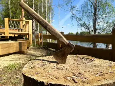 Кедр Глэмп - 54