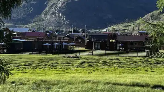 Zen Altay - 11